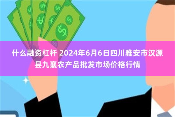 什么融资杠杆 2024年6月6日四川雅安市汉源县九襄农产品批发市场价格行情