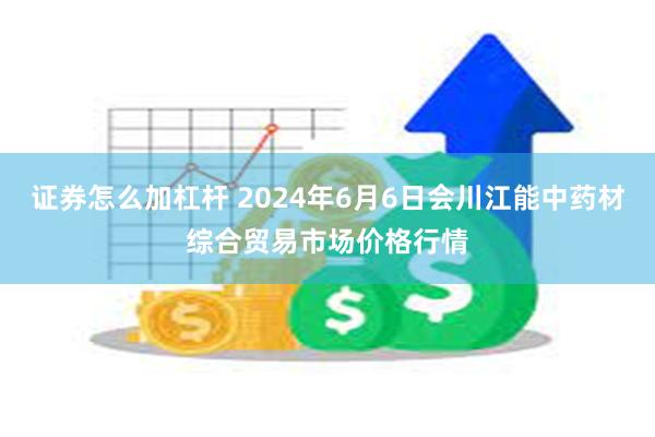 证券怎么加杠杆 2024年6月6日会川江能中药材综合贸易市场价格行情