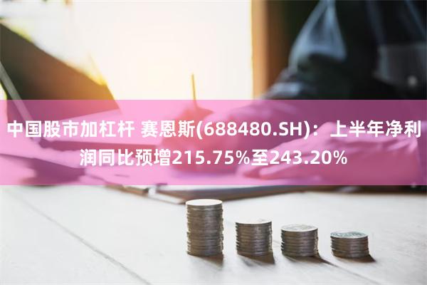 中国股市加杠杆 赛恩斯(688480.SH)：上半年净利润同比预增215.75%至243.20%