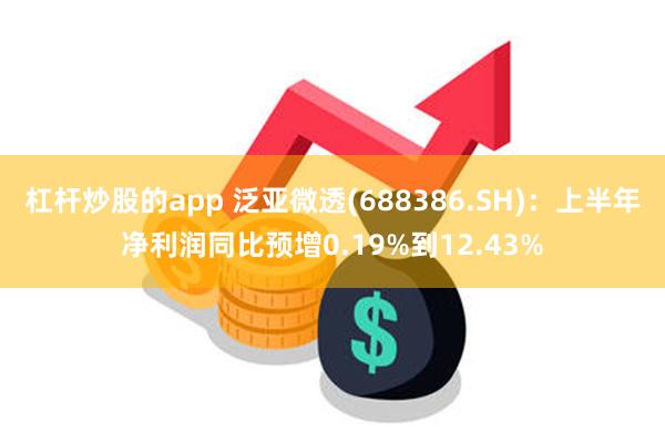 杠杆炒股的app 泛亚微透(688386.SH)：上半年净利润同比预增0.19%到12.43%