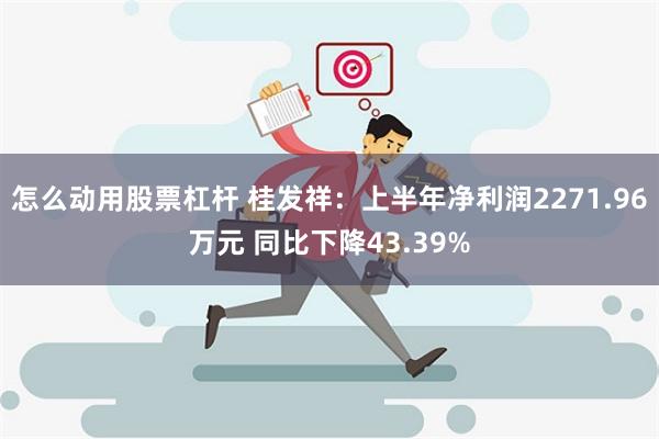 怎么动用股票杠杆 桂发祥：上半年净利润2271.96万元 同