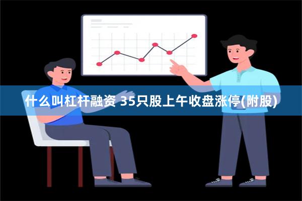 什么叫杠杆融资 35只股上午收盘涨停(附股)