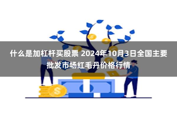 什么是加杠杆买股票 2024年10月3日全国主要批发市场红毛丹价格行情