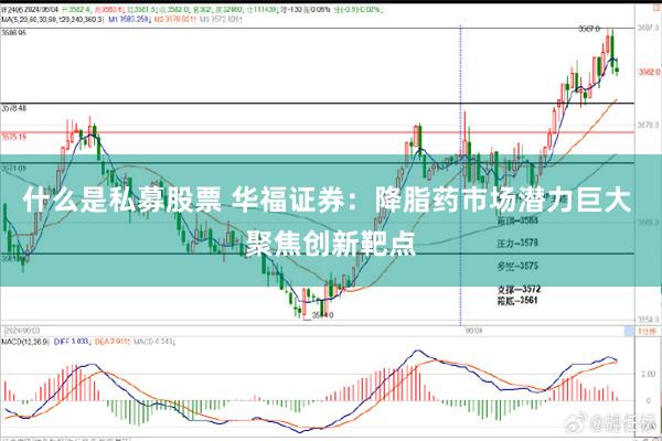 什么是私募股票 华福证券：降脂药市场潜力巨大 聚焦创新靶点