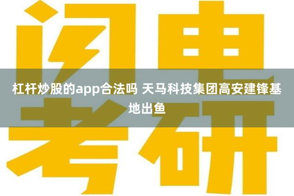 杠杆炒股的app合法吗 天马科技集团高安建锋基地出鱼