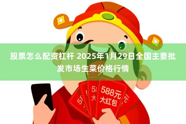 股票怎么配资杠杆 2025年1月29日全国主要批发市场生菜价格行情