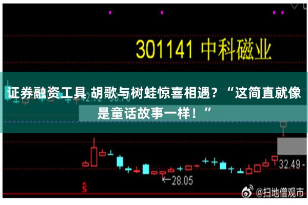 证券融资工具 胡歌与树蛙惊喜相遇？“这简直就像是童话故事一样！”