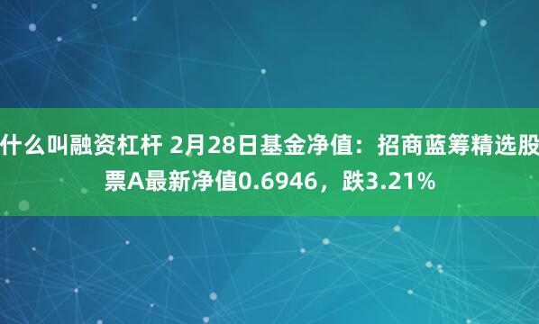 什么叫融资杠杆 2月28日基金净值：招商蓝筹精选股票A最新净值0.6946，跌3.21%