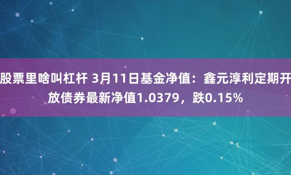 股票里啥叫杠杆 3月11日基金净值：鑫元淳利定期开放债券最新净值1.0379，跌0.15%