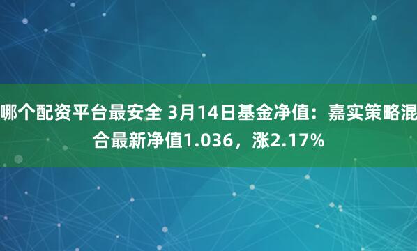 哪个配资平台最安全 3月14日基金净值：嘉实策略混合最新净值1.036，涨2.17%