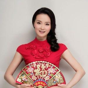 演员王艳个人资料,从古装美人到现代优雅，演艺生涯的多面风采