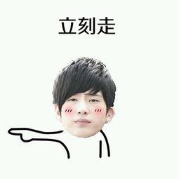 井柏然表情包带字,笑出腹肌的瞬间，带你领略明星魅力