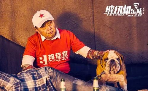 缝纫机乐队表情包,幽默风趣，传递生活百态