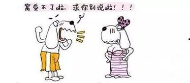 夫妻之间的搞笑段子,笑料百出，甜蜜拌嘴