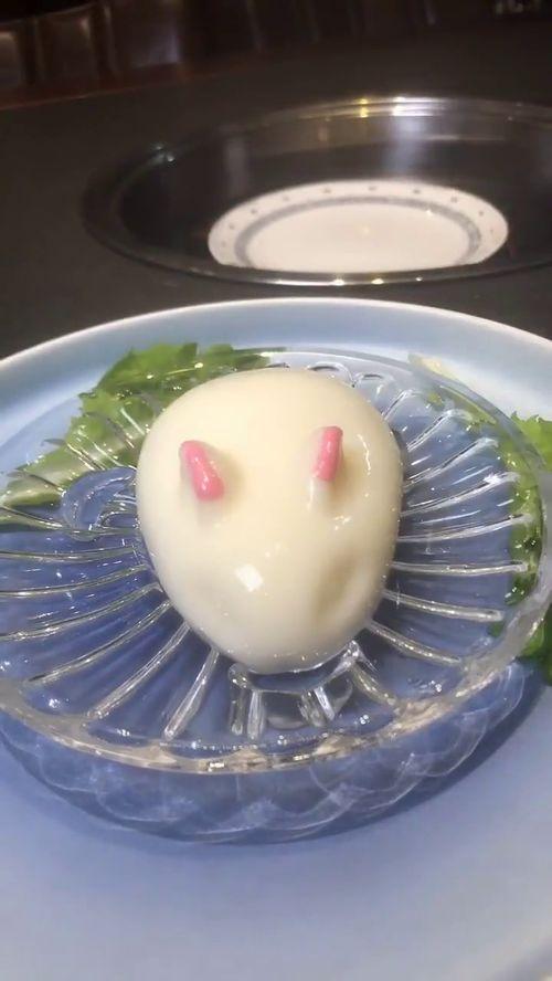 网红兔兔语句,萌动心灵，网络红人的魅力之旅